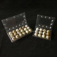 50pcs 12/18/ Hole Quail Egg Trays Thick Compression Resistant Buckle Folding Packaging Boxes Food Grade PET Bird Egg Box