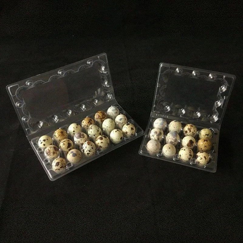 50pcs 12/18/ Hole Quail Egg Trays Thick Compression Resistant Buckle Folding Packaging Boxes Food Grade PET Bird Egg Box